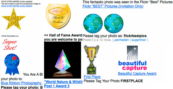 flickr-awards