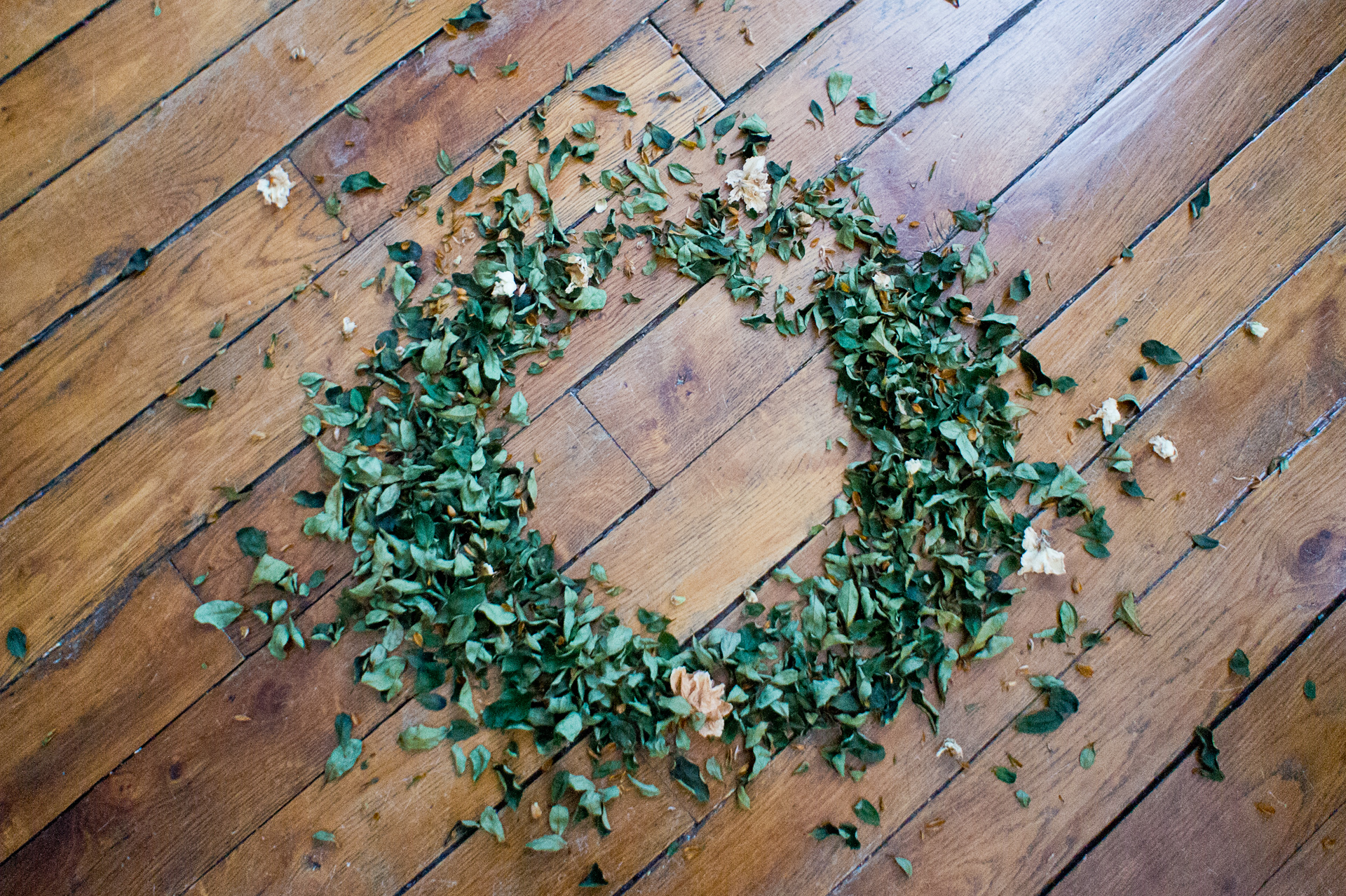 m i s c - e l e v e n