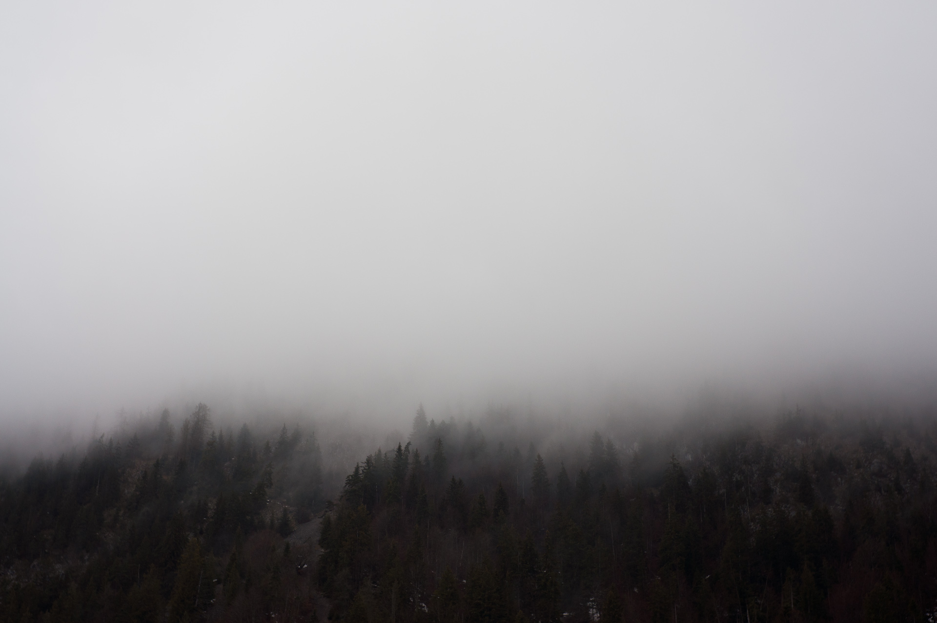 m i s c - t w e l v e