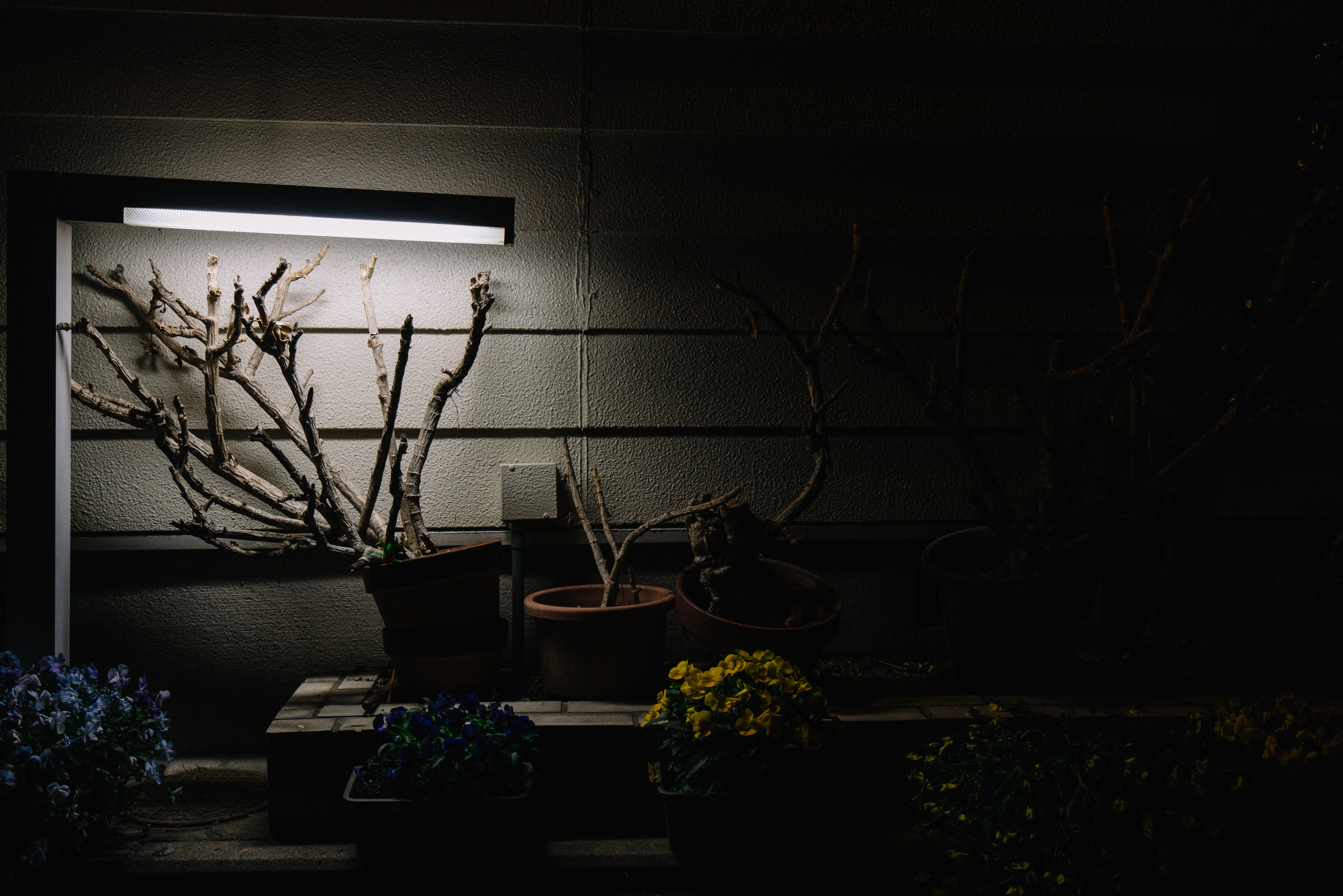 japan-architecture-35