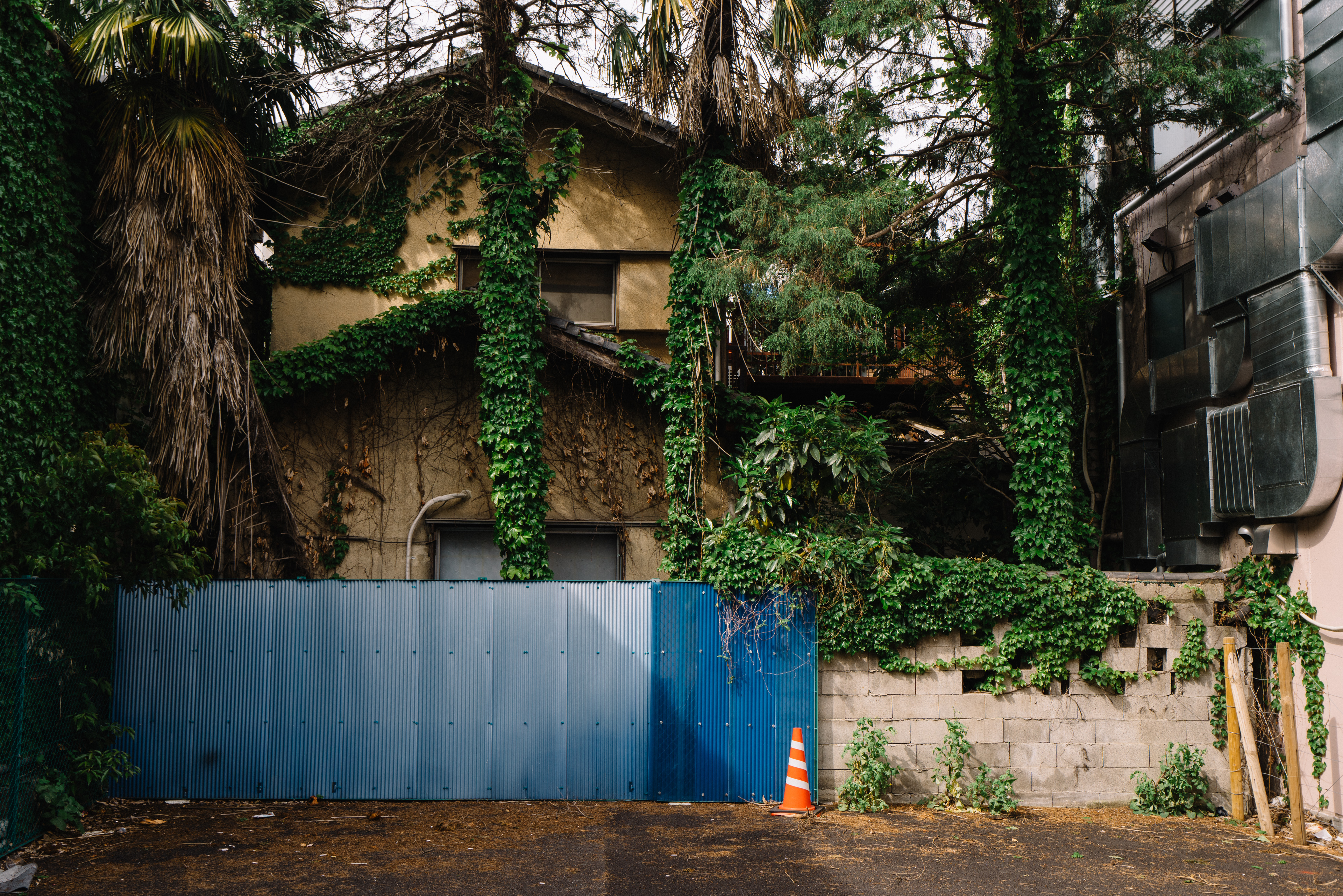 japan-architecture-46