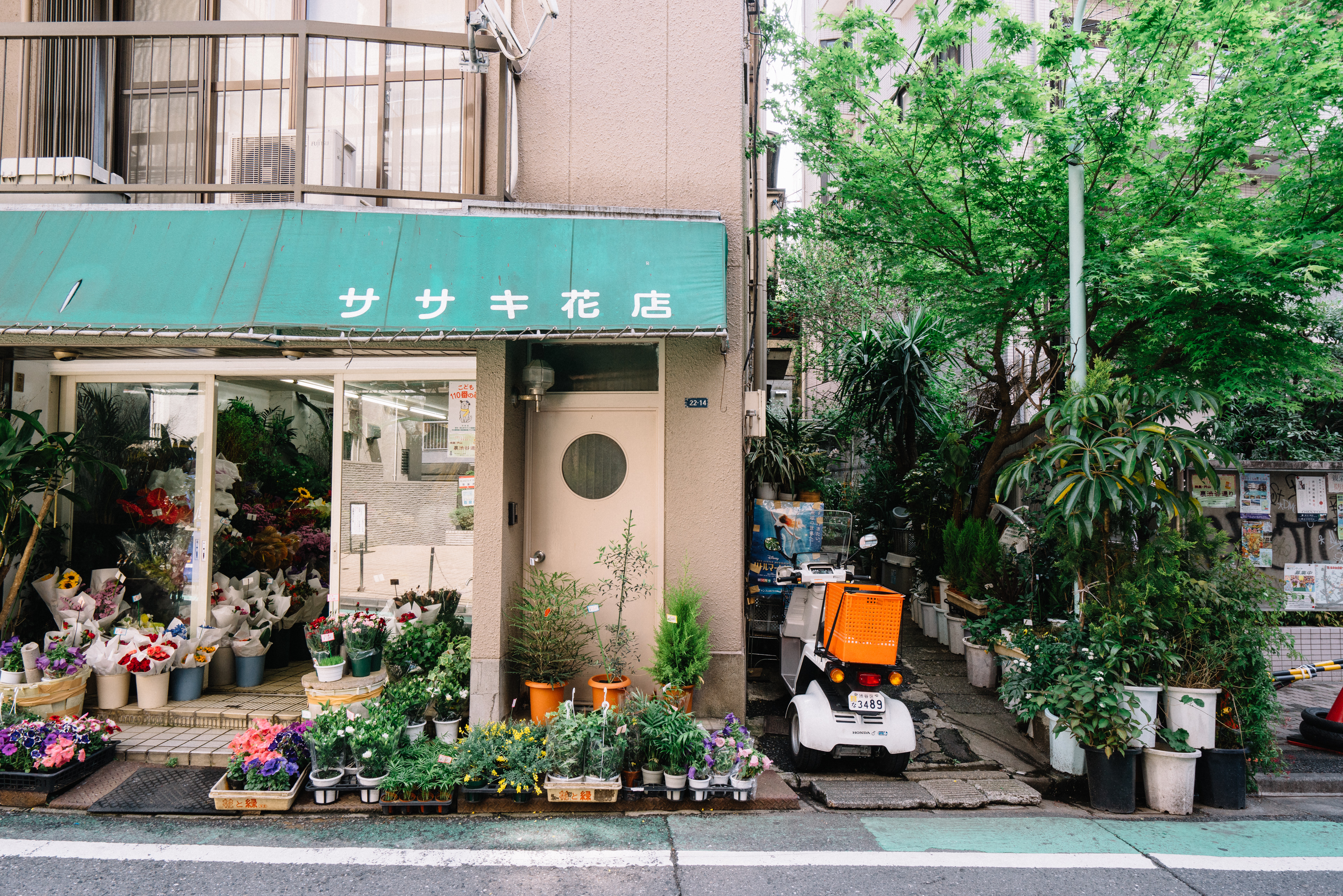 japan-architecture-50