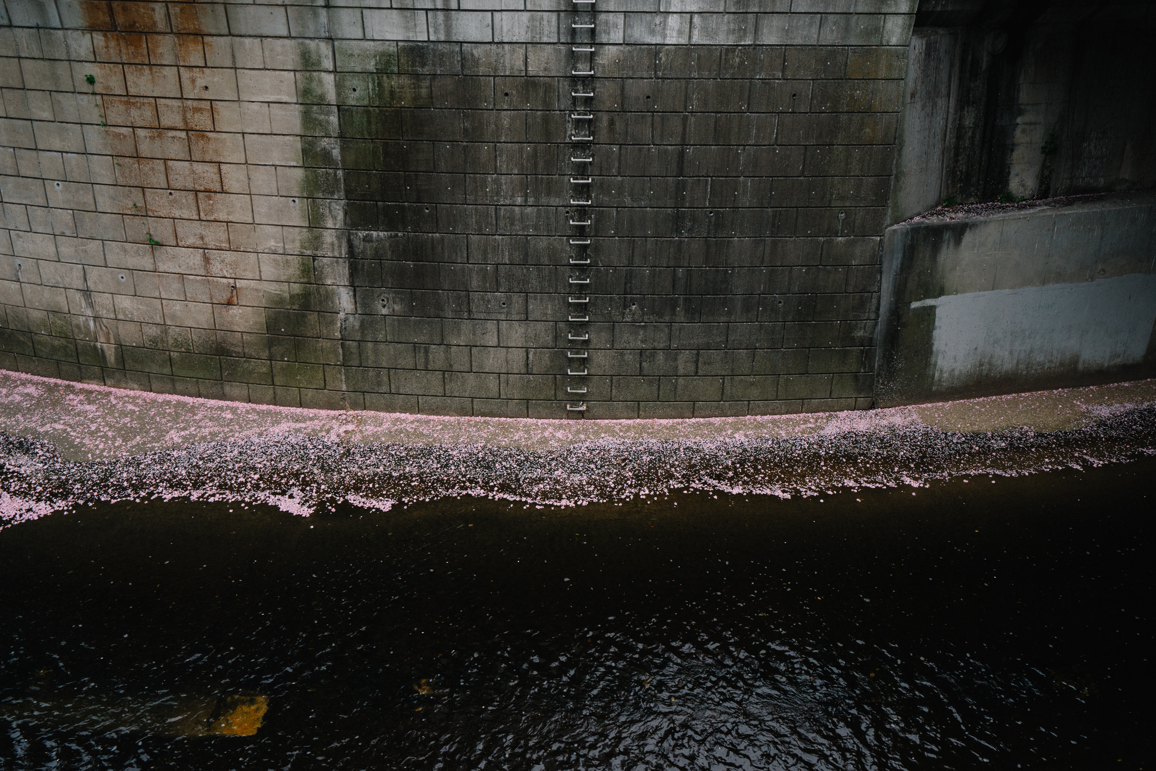 japan-architecture-53