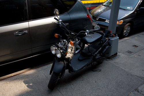 honda zoomer new york