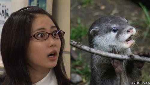 otter and japanese girl