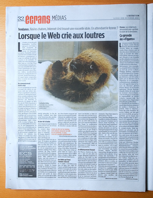 loutre libération écrans